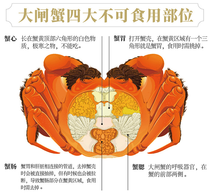 大闸蟹不可食用部位